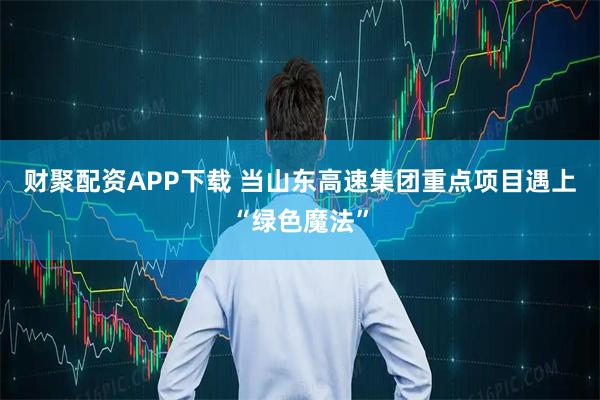 财聚配资APP下载 当山东高速集团重点项目遇上“绿色魔法”