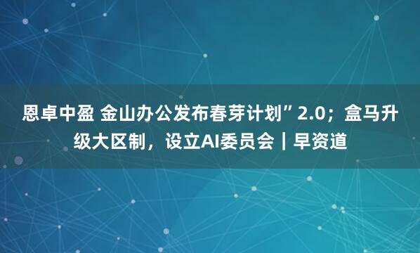 恩卓中盈 金山办公发布春芽计划”2.0；盒马升级大区制，设立AI委员会｜早资道